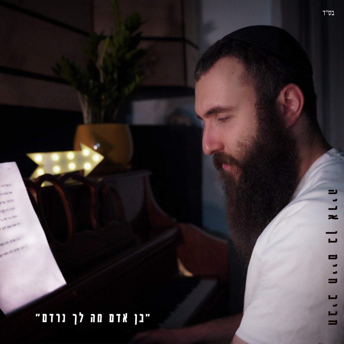 ‎בן אדם מה לך נרדם Single By Haviv Haim Ben Arie On Apple Music