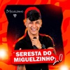 SERESTA DO MIGUELZINHO 2.0 P.2 - Single
