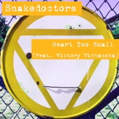 Heart Too Small (Radio Edit) [feat. Victory Vizhanska] artwork