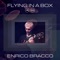 Flying in a Box (feat. Pietro Lussu, Giuseppe Romagnoli, Enrico Morello & Daniele Tittarelli) artwork