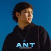 Ant - Single