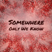 Somewhere Only We Know (feat. Erisse) artwork