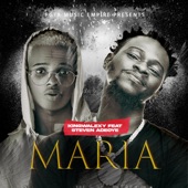 Maria (feat. Steven Adeoye) artwork