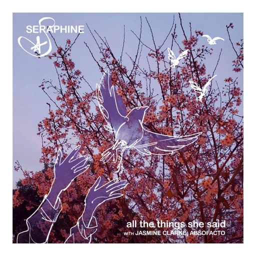 All the Things She Said by Seraphine & Jasmine Clarke