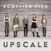 Scottish Fish - Trip to Dingle
