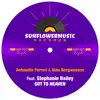 Got to Heaven (feat. Stephanie Bailey) - Single album lyrics, reviews, download