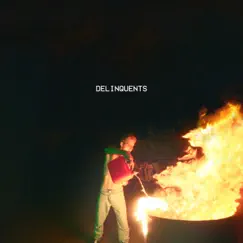 DELINQUENTS - Single by Call Me Karizma album reviews, ratings, credits