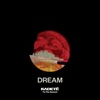 Dream (To the Sunset) - Single