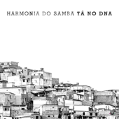 Molejinho - Harmonia do Samba