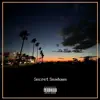 Secret Sundown (feat. Chris Ramos) - Single album lyrics, reviews, download