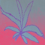 420 Sampler II - Single