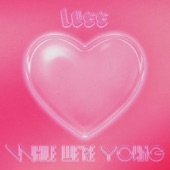 While We’re Young artwork