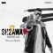 Fi Shaawa (feat. Sadat) - Ahmed Nafea lyrics