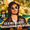 Brasileirinho Bregafunk song lyrics