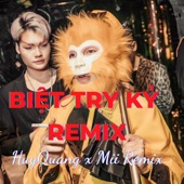 Biệt Tri Kỷ Remix New Vers (HuyQuang Remix) artwork