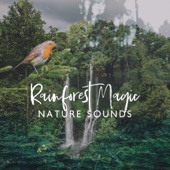 Rainforest Ambience Music (feat. Mary Woodland) artwork