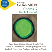 Chôro for Piano & Orchestra: III. Alegre artwork