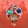 Respeita o MS, Vol. 2 - EP