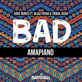 Bad Amapiano (feat. Blaiz Fayah) - Dave Nunes & Tribal Kush