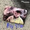 Big Star - Dr. Veers lyrics