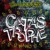 Catastrophe - Single