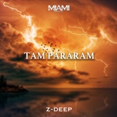 Tam Pararam artwork