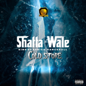 Cold Store - Shatta Wale