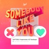 Somebody Like You - Single