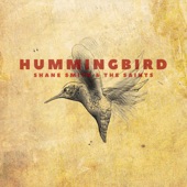 Hummingbird artwork