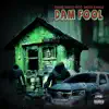 Dam Fool - Single album lyrics, reviews, download