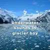 Underwater Sounds in Glacier Bay album lyrics, reviews, download