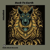 Back to Earth artwork