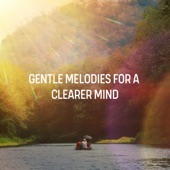 Gentle Melodies for a Clearer Mind artwork
