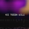 Nie Trzeba Wiele - Single