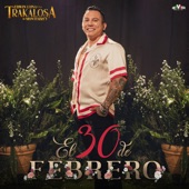 El 30 de Febrero artwork