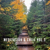 Meditation & Chill Vol.3 artwork