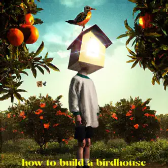 Birdhome V5 by Cave song reviws