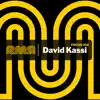 You Can't Understand (feat. BiG AL & Kiano) [David Kassi Remix] song lyrics