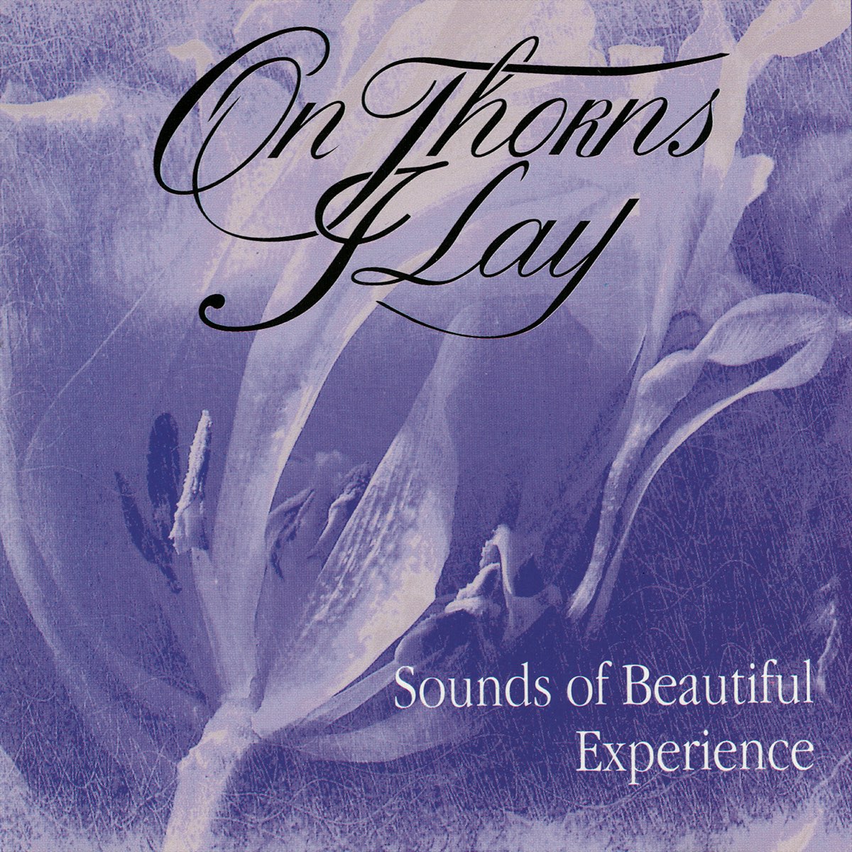 Lay дискография. On Thorns i lay. On Thorns i lay 2015 - Eternal Silence. 1995 - Sounds of beautiful experience. On Thorns i lay обложки альбомов.