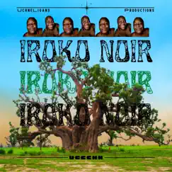 IRoko noIR by Uccchh album reviews, ratings, credits