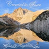 Created to Soar - Single