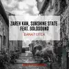 Bánat utca (feat. Goldsound) [Darwin Techhouse Rework] - Single album lyrics, reviews, download