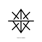 TARAKA (Tiësto Remix) artwork