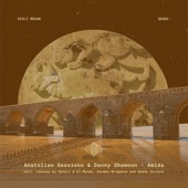 Amida (Satori & El Mundo Remix) artwork