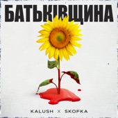 Батьківщина artwork