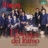 Los Salvajes Del Ritmo - La Que Se Fue