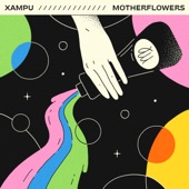 Xampú artwork