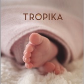 Tropika artwork