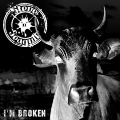 I'm Broken - Single