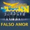Falso Amor - Grupo McAllen lyrics